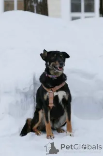 Дополнительные фото: Вива не помнящая зла 