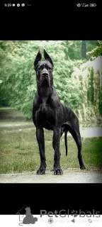 Дополнительные фото: Отличные данные