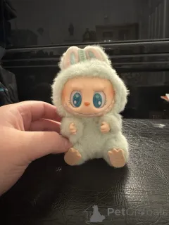 Фото №1.  - купить в Форма за 8871₽. Объявление №152383