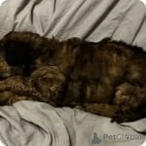 Дополнительные фото: Алда