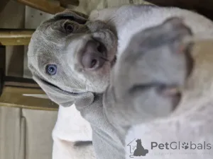 Фото №3. NATALYA NEDODAYEVA.  Казахстан