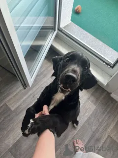 Фото №1.  - купить в Берлине за Бесплатно. Объявление №152369