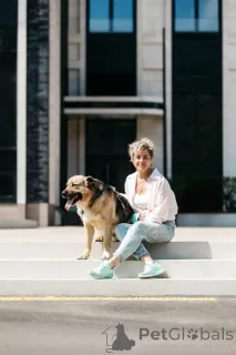 Фото №3. Дынька ждёт своего человека..  Россия