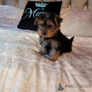 Дополнительные фото: Доступный и доступный