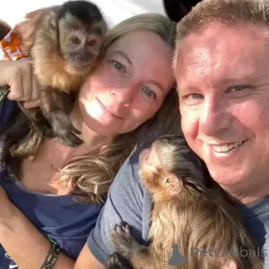 Фото №1.  - купить в Малага за 463835₽. Объявление №166195