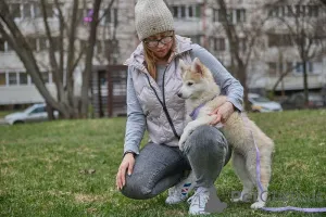 Дополнительные фото: Ищет дом маленькое чудо Лунтик, щенок 2 месяца!
