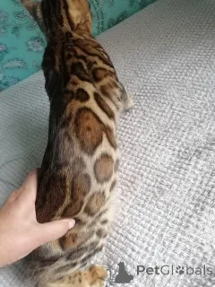 Дополнительные фото: Айгуль Хисматуллина