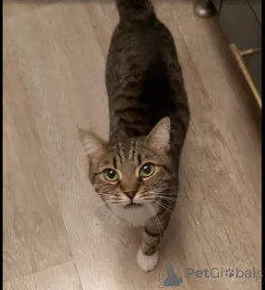 Фото №4. Продам  в Химки частное объявление - цена Бесплатно