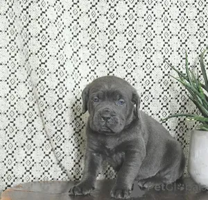 Фото №3. Построен как легенда, рожден, чтобы руководить..  Финляндия