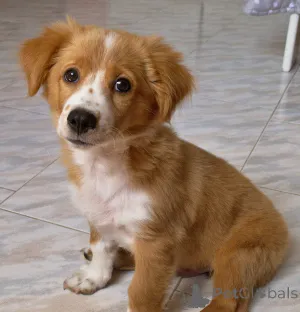 Фото №1.  - купить в Антея за 74214₽. Объявление №162997