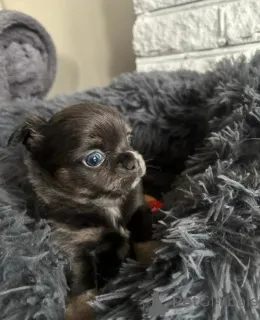 Фото №4. Продажа  в Grevesmühlen  - цена 26902₽