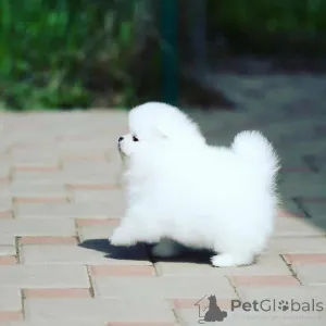 Фото №4. Продажа  в Севилья  - цена договорная