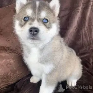 Фото №4. Продажа  в Берлине  - цена договорная