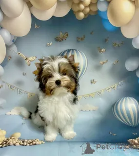 Фото №3. Виктория.  Беларусь