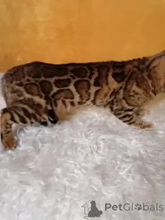 Дополнительные фото: Айгуль Хисматуллина