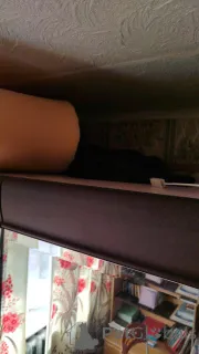 Фото №4. Продам бенгальскую в Казани частное объявление - цена 1000000₽