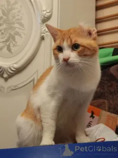 Фото №1.  - купить в Москве реке за Бесплатно. Объявление №162994