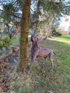 Дополнительные фото: Отличные данные