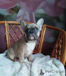 Дополнительные фото: Милая девочка.