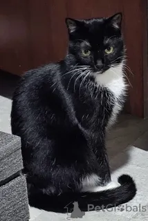 Фото №3. Нежная Амира. Беларусь