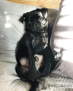 Дополнительные фото: Красивые родители, проведенные